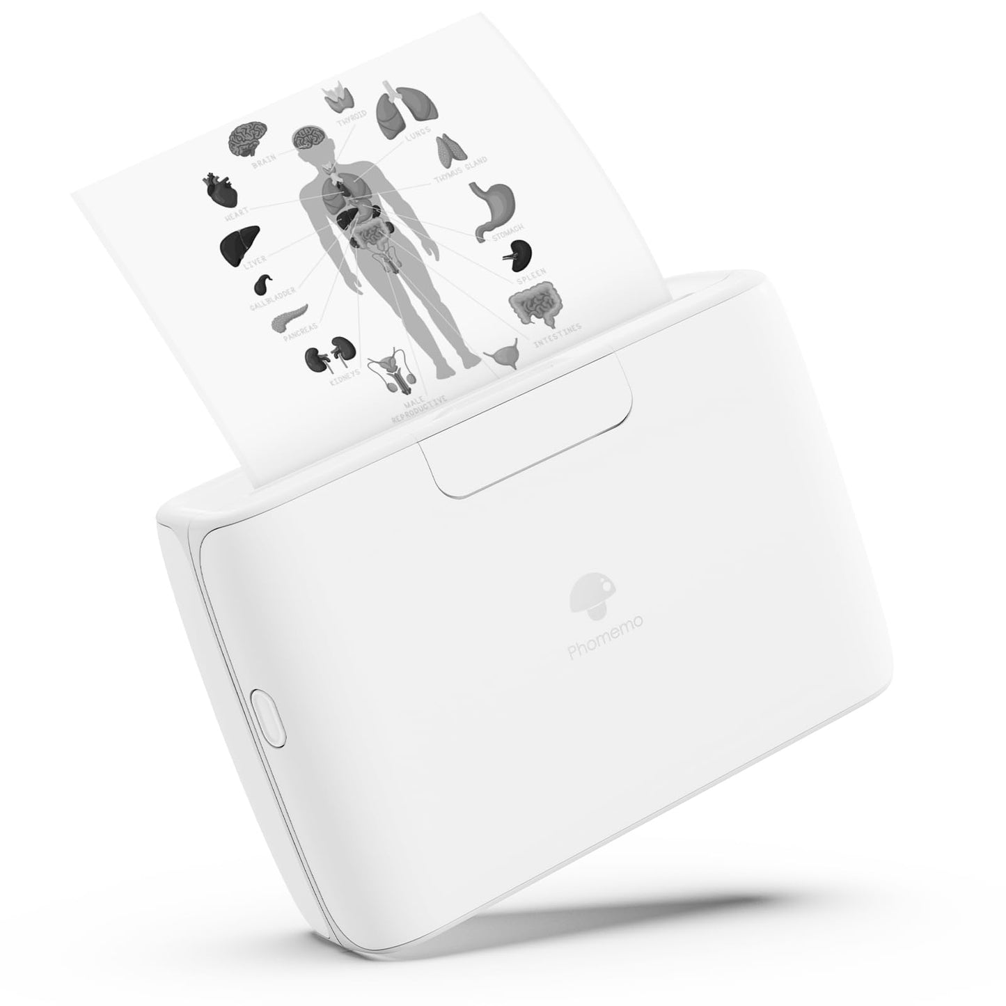 M04S Bluetooth Portable Printer- 4 inch Thermal Label Printer Bluetooth Photo Sticker Maker Machine Mini Printer Compatible with iOS & Android for Document, Study Notes, Sticker, Label, Journal, White