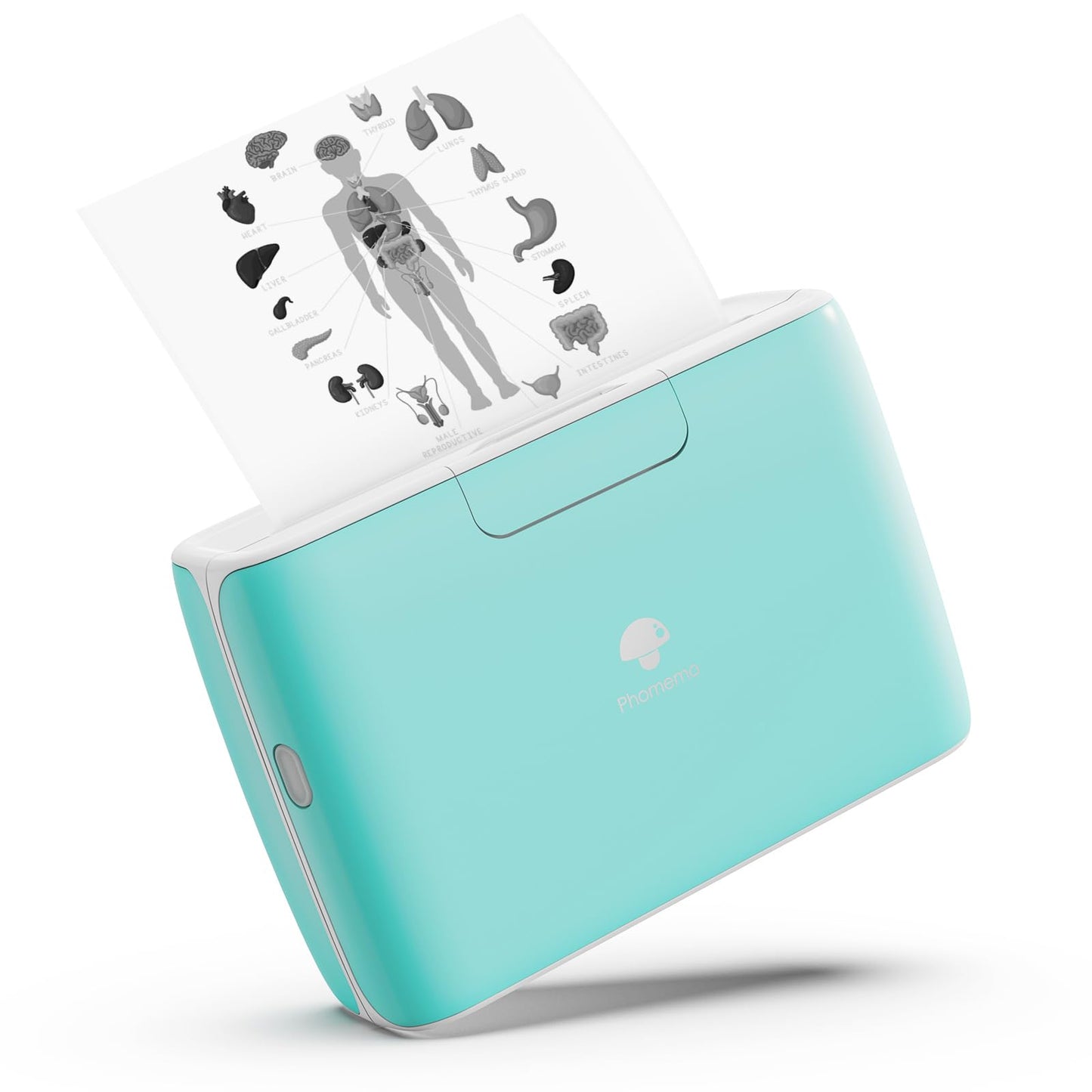 Phomemo M04S Wireless Portable Printer- Thermal Printer Sticker Printer- Compatible with iOS and Android for Travel, Mobile Office, School, Home with 300dpi,Support 53/80/110mm Printing Width,Green…