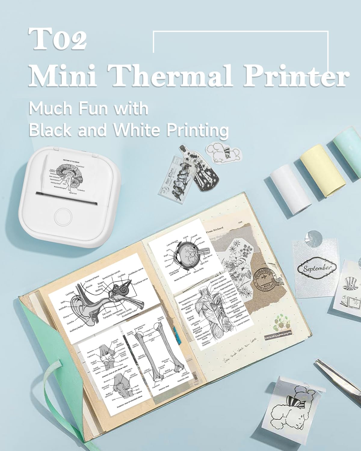 Memoqueen Mini Sticker Printer with 3 Rolls Paper T02 Mini Portable Thermal Printer,Sticker Maker Machine for Study, Brithday Gift, Journal, Work, Children DIY, Compatible with Phone & Tablet, White