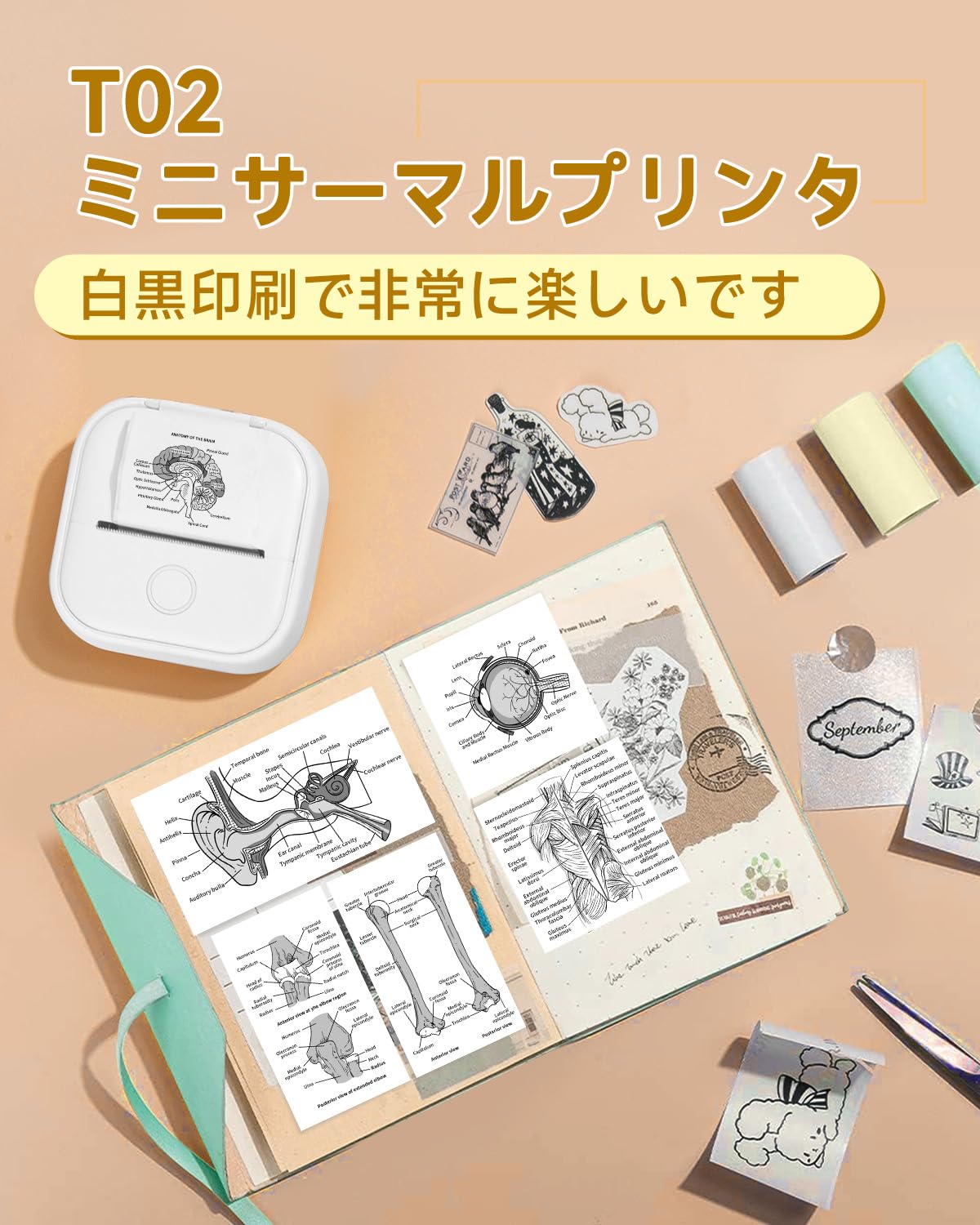 スマホ対応 プリンター Memoqueen T02 サーマルプリンター ミニプリンター モバイルプリンター メモプリンター ラベルライター Bluetoothプリンター ノートプリンター フォトプリンター 持ち運びプリンター はがき/写真アルバム/手帳/メモ/買い物リスト/学習ノートに使用することができます 専用アプリアプリ 本体にはロール状の感熱紙が付属しています