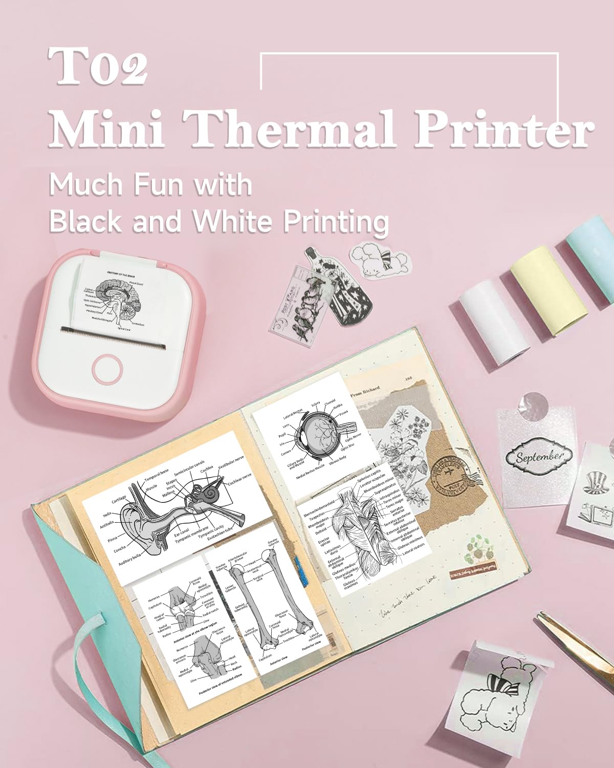 Sticker Printer - T02 Mini Thermal Printer, Portable Pocket Printer, Sticker Maker Machine with 3 Rolls Thermal Paper for Study Note, Photo, Travel, DIY Printing, Office, Festival Gifts, Pink