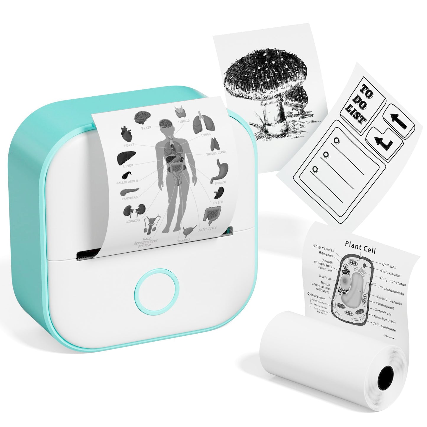 Memoqueen Mini Pocket Sticker Printer T02 Sticker Maker Machine, Thermal Photo Printer for Photos, Diaries, Memo, Study Notes, Work Plans, Wireless Receipt Printer Compatible with iOS & Android, Green