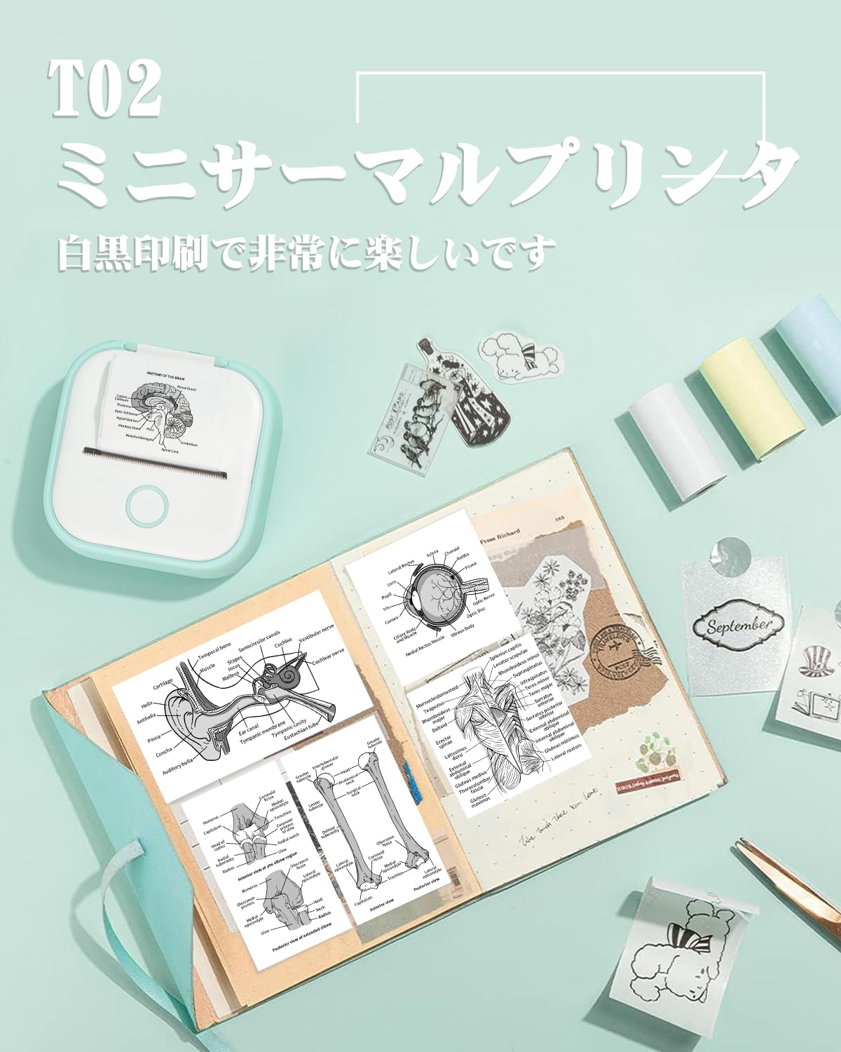 サーマルプリンター Memoqueen T02 スマホ対応 ミニプリンター モバイルプリンター 感熱プリンター ラベルライター メモプリンター コンパクトプリンター フォトプリンター Bluetooth接続 はがき/写真アルバム/手帳/メモ/買い物リスト/学習ノートに使用することができます 専用アプリアプリ 本体にはロール状の感熱紙が付属しています
