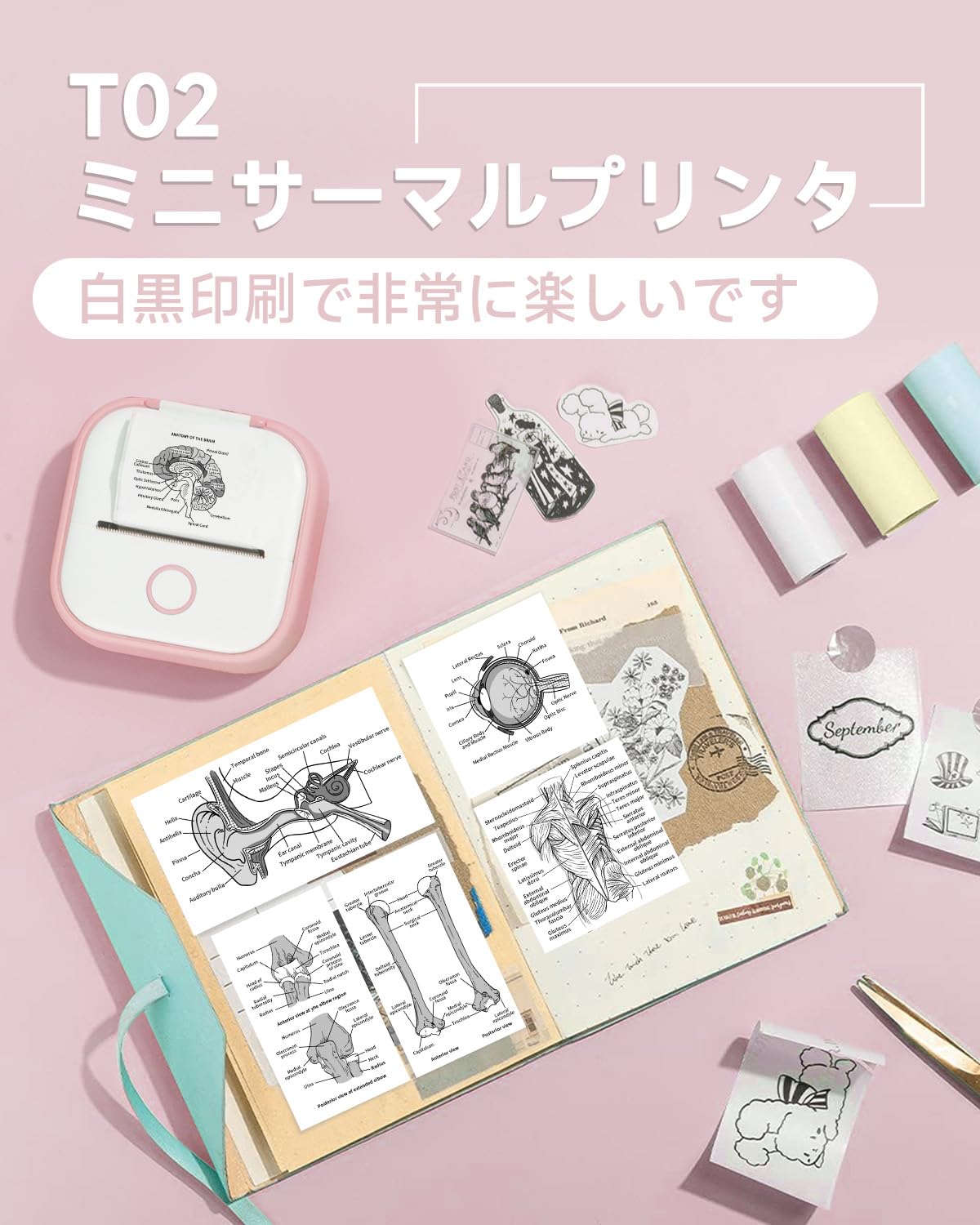 ミニプリンター スマホ対応 Memoqueen T02 プリンター 小型 スマホプリンター 携帯プリンター ノートプリンター メモプリンター フォトプリンター ラベルプリンター 203dpi Bluetooth接続 インキレス印刷 感熱紙3巻付 写真アルバム/手帳/メモ/買い物リスト/学習ノートに使用することができます ピンクサーマルプリンタ