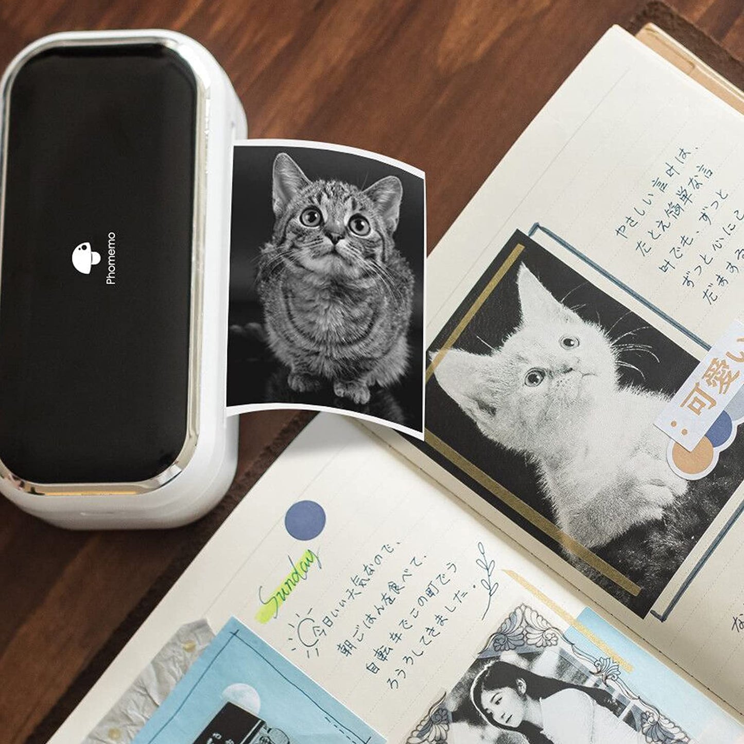 Memoqueen M03感熱紙 ロール紙 白い粘着性感熱紙の3つのロールセット M03プリンター用紙 互換 Memoqueen/Phomemo M03 M04S M04ASプリンターに対応 印刷用紙 黒文字 幅80mm 2年保存 ファイル/小さなバナー/ノート/メモ/写真用紙/ラベルに使用できます