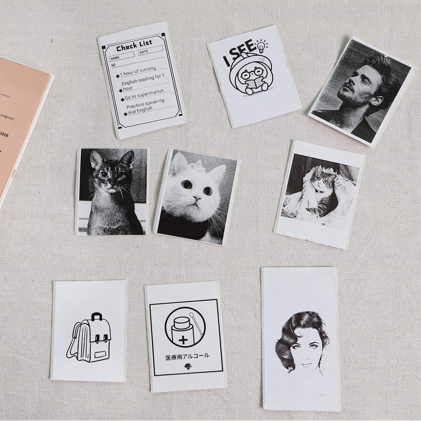 サーマルシール紙 Memoqueen T02 写真プリンタ 専用感熱印刷紙 黒文字 53mm*3.5m ノーカットロールペーパー ラベルシール 強粘着 防水 2年保存 3巻入 T02 モバイルプリンター用 シール 印刷用紙 感熱ロール紙 ノード/勉強/メモ/仕事/手帳/落書き/ラベル/オフィス/教育/整理収納に適用